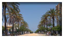 Sanlúcar de Barrameda
